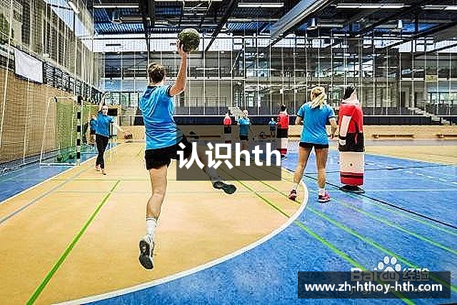 认识hth